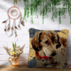 Golden Retriever - Latch Hook Pillow Kit
