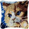 Silly Kitty - Latch Hook Pillow Kit