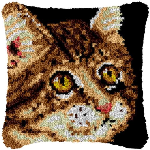 Where's My Food - Latch Hook Pillow Kit
