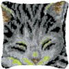 Nap Time! - Latch Hook Pillow Kit