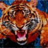 Feral Tiger - Latch Hook Rug Kit