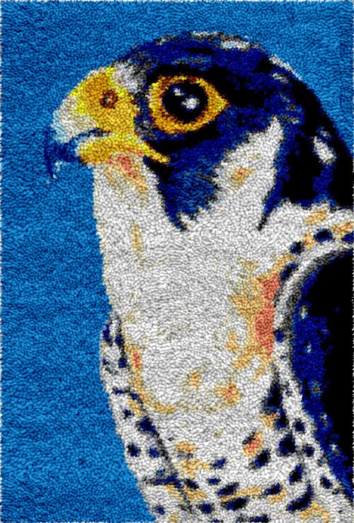 Night Watcher - Latch Hook Rug Kit