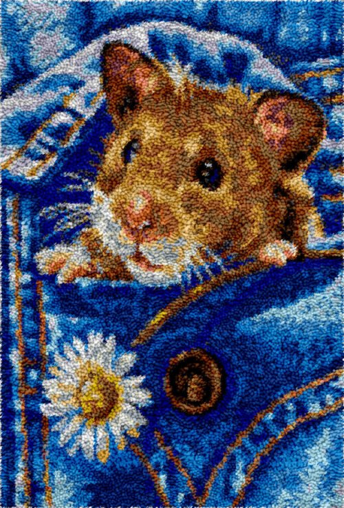 Secret Buddy - Latch Hook Rug Kit