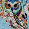 Splashy Spotted Owl - Latch Hook Rug Kit