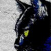 Contemplating Black Cat - Latch Hook Rug Kit
