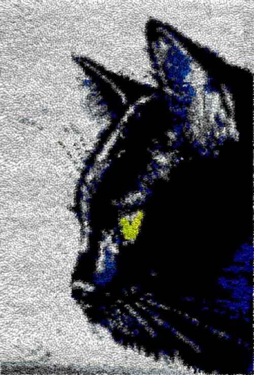 Contemplating Black Cat - Latch Hook Rug Kit