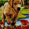 Jolly Labrador - Latch Hook Rug Kit