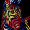 Rainbow Zebra - Latch Hook Rug kit