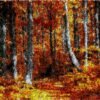 Autumn Park - Latch Hook Rug Kit