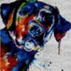 Black Labrador - Latch Hook Rug Kit