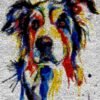 Border Collie - Latch Hook Rug Kit