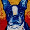 Boston Terrier - Latch Hook Rug Kit