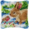 Bunny and Robin - Latch Hook Pillow Kit