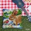 Bunny and Robin - Latch Hook Pillow Kit