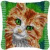 Cat Grimace - Latch Hook Pillow Kit