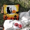 Cat on Broom - Latch Hook Pillow Kit