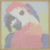 Clever Parrot - Latch Hook Kit for Kids