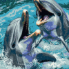 Dancing Dolphin - Latch Hook Rug Kit