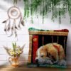 Dog Librarian - Latch Hook Pillow Kit