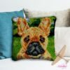 French Bulldog - Latch Hook Pillow Kit