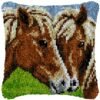 Friendly Nudge - Latch Hook Pillow Kit