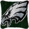 Go Eagles! - Latch Hook Pillow Kit