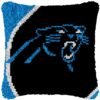 Go Panthers! - Latch Hook Pillow Kit