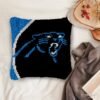 Go Panthers! - Latch Hook Pillow Kit