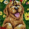 Happy Golden Retriever - Latch Hook Rug Kit