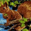 Happy Squirrel - Latch Hook Rug Kit