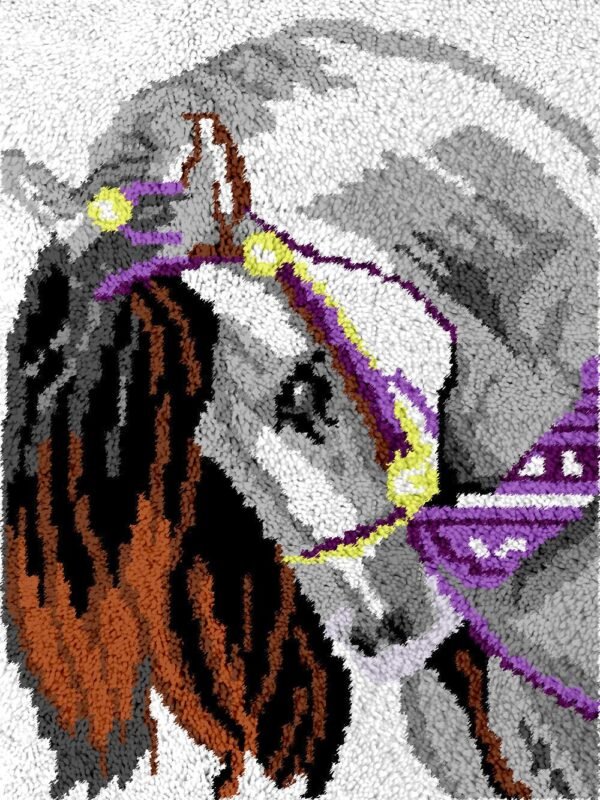Long Mane - Latch Hook Rug Kit