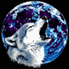 Moonlight Wolf - Latch Hook Pillowcase Kit