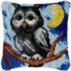 Old Wise Owl - Latch Hook Pillow Kit