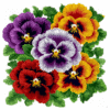 Pansy Bloom - Latch Hook Pillowcase Kit
