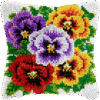 Pansy Bloom - Latch Hook Pillowcase Kit