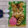 Playtime with Yarn - Latch Hook Rug Kit