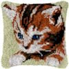 Pouting Kitten - Latch Hook Pillow Kit