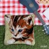 Pouting Kitten - Latch Hook Pillow Kit