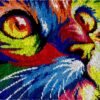 Rainbow Cat Portrait - Latch Hook Rug Kit