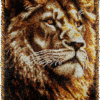 Regal King - Latch Hook Rug Kit