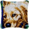 Resting at Home - Latch Hook Pillow Kit