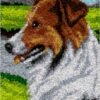 Sheltie Portrait - Latch Hook Rug Kit