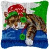 Sleepy Kitty - Latch Hook Pillow Kit