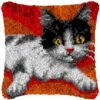 Smiley Cat - Latch Hook Pillow Kit