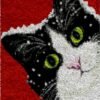 Snow Flaked Cat - Latch Hook Rug Kit