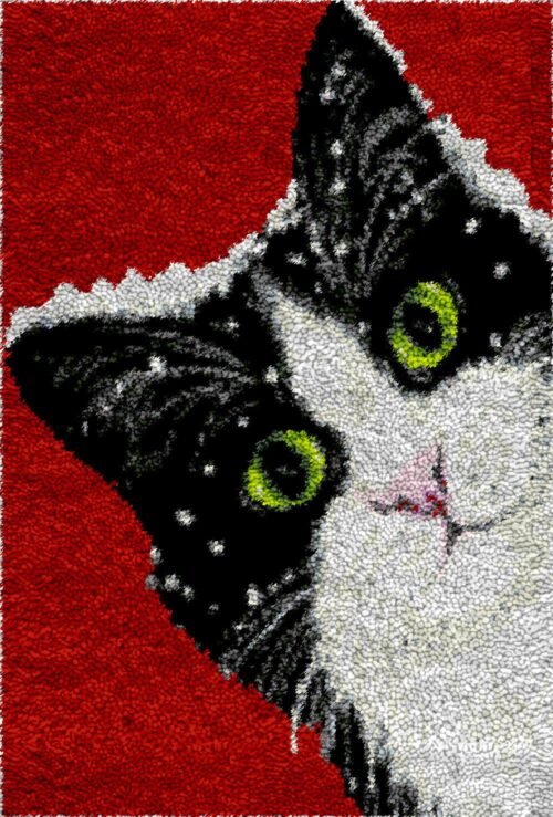 Snow Flaked Cat - Latch Hook Rug Kit