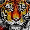 Tiger Portrait - Latch Hook Rug Kit