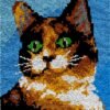 Unbothered Kitty - Latch Hook Rug Kit