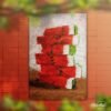 Watermelon Slices - Latch Hook Rug Kit