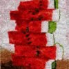 Watermelon Slices - Latch Hook Rug Kit